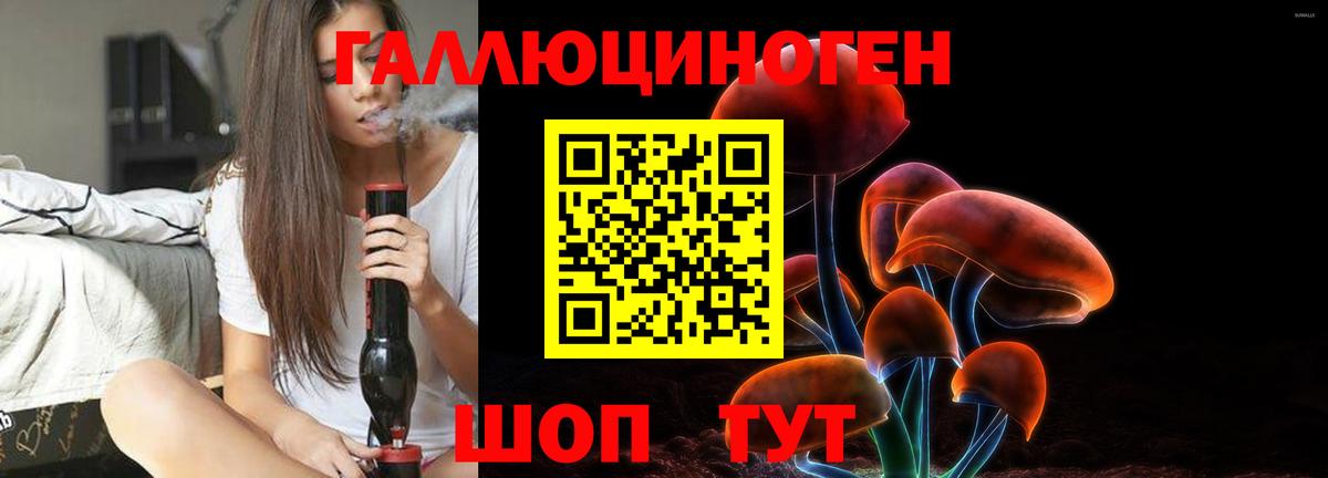 Кизилюрт  Псилоцибиновые грибы Cubensis  где купить наркотик  Вход с VPN 